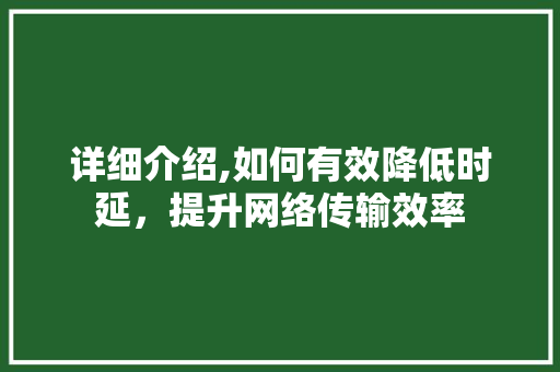 详细介绍,如何有效降低时延，提升网络传输效率