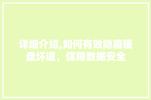 详细介绍,如何有效隐藏硬盘坏道，保障数据安全 Web前端