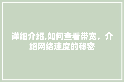 详细介绍,如何查看带宽，介绍网络速度的秘密