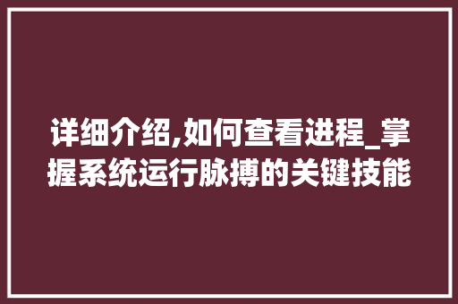 详细介绍,如何查看进程_掌握系统运行脉搏的关键技能 服务器/数据库