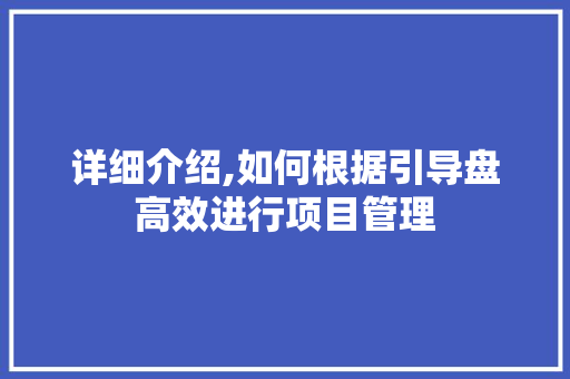 详细介绍,如何根据引导盘高效进行项目管理
