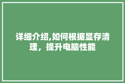 详细介绍,如何根据显存清理，提升电脑性能