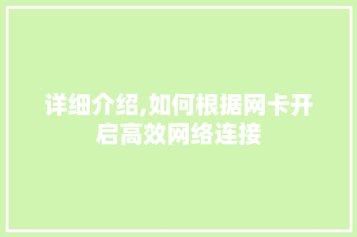 详细介绍,如何根据网卡开启高效网络连接