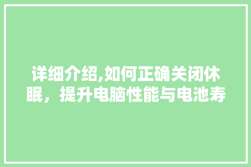 详细介绍,如何正确关闭休眠，提升电脑性能与电池寿命