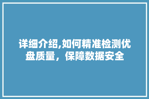 详细介绍,如何精准检测优盘质量，保障数据安全