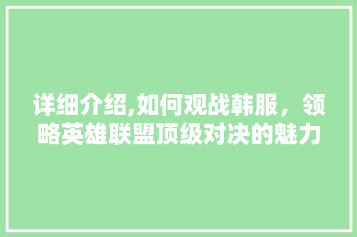 详细介绍,如何观战韩服，领略英雄联盟顶级对决的魅力