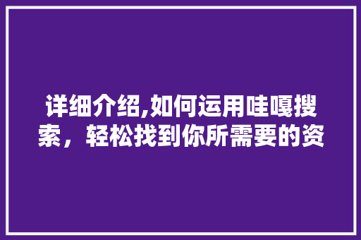 详细介绍,如何运用哇嘎搜索，轻松找到你所需要的资源