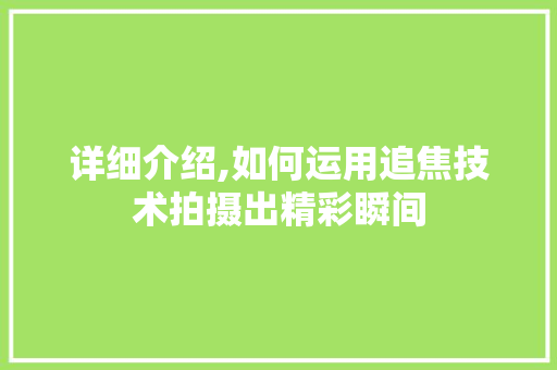 详细介绍,如何运用追焦技术拍摄出精彩瞬间