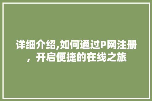 详细介绍,如何通过P网注册，开启便捷的在线之旅