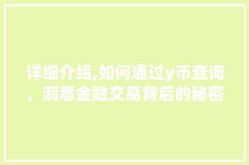 详细介绍,如何通过y币查询，洞悉金融交易背后的秘密