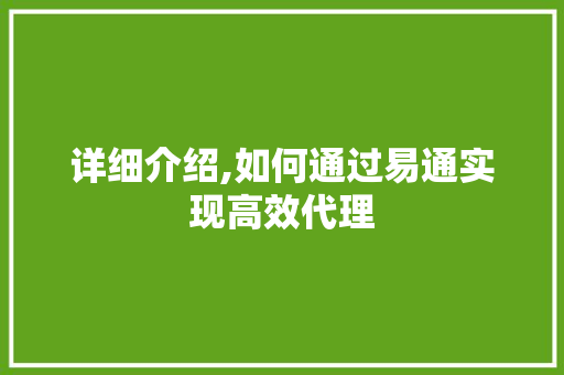 详细介绍,如何通过易通实现高效代理