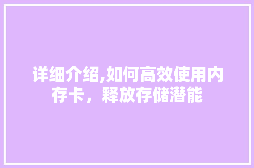 详细介绍,如何高效使用内存卡，释放存储潜能 Web前端