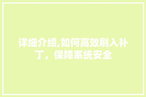 详细介绍,如何高效刷入补丁，保障系统安全
