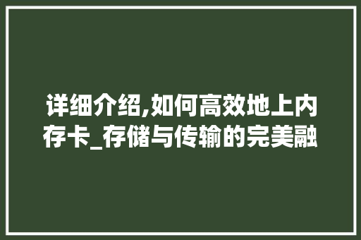 详细介绍,如何高效地上内存卡_存储与传输的完美融合