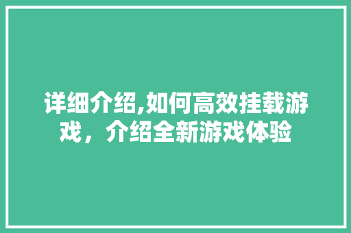 详细介绍,如何高效挂载游戏，介绍全新游戏体验