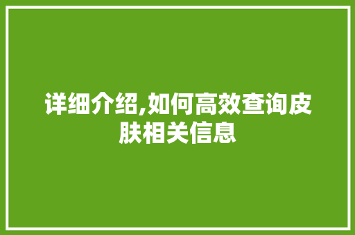 详细介绍,如何高效查询皮肤相关信息