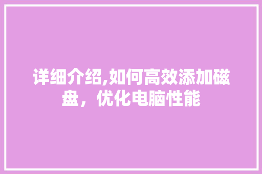 详细介绍,如何高效添加磁盘，优化电脑性能