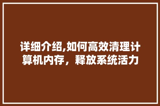 详细介绍,如何高效清理计算机内存，释放系统活力