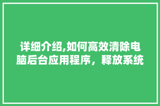 详细介绍,如何高效清除电脑后台应用程序，释放系统资源，提升电脑运行速度 Web前端