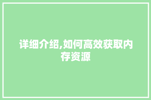 详细介绍,如何高效获取内存资源 建站教程