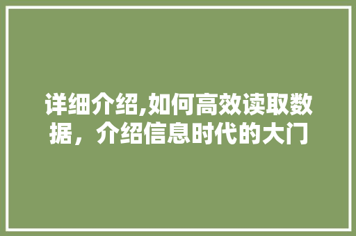 详细介绍,如何高效读取数据，介绍信息时代的大门