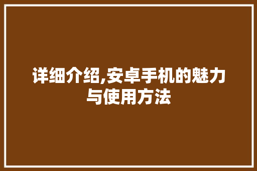 详细介绍,安卓手机的魅力与使用方法 建站教程
