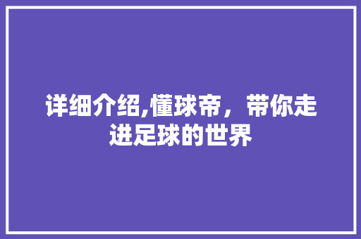 详细介绍,懂球帝，带你走进足球的世界