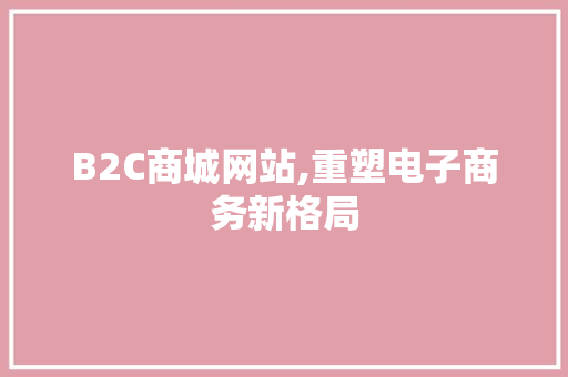 B2C商城网站,重塑电子商务新格局