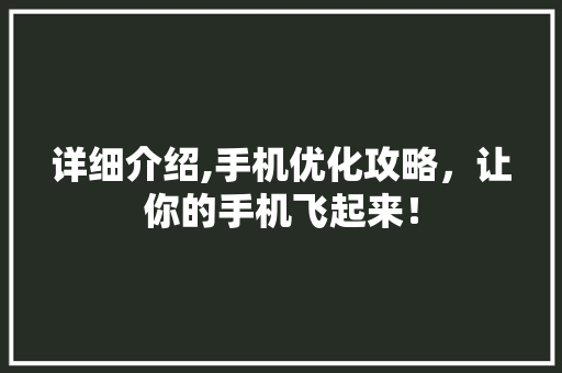 详细介绍,手机优化攻略，让你的手机飞起来！