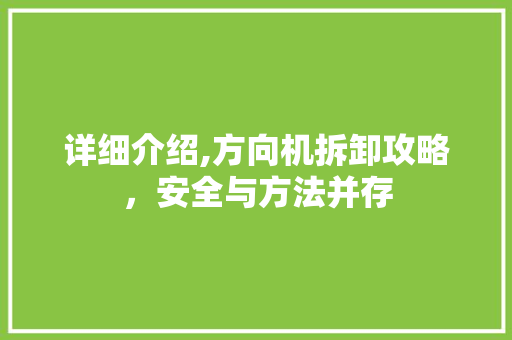 详细介绍,方向机拆卸攻略，安全与方法并存