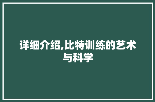 详细介绍,比特训练的艺术与科学 SEO教程