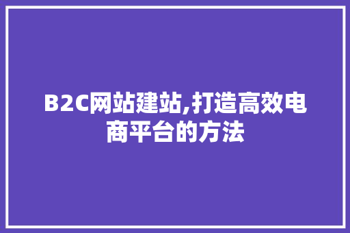 B2C网站建站,打造高效电商平台的方法