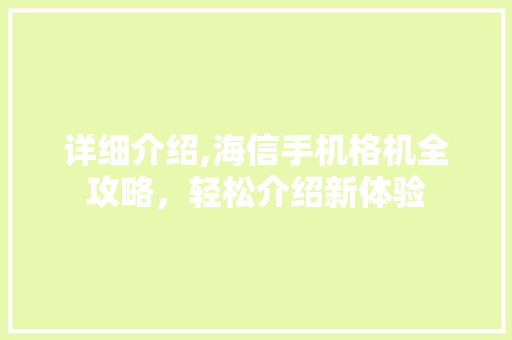 详细介绍,海信手机格机全攻略，轻松介绍新体验 Web前端