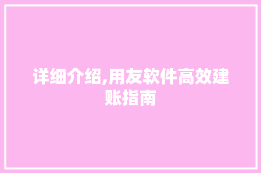 详细介绍,用友软件高效建账指南 服务器/数据库