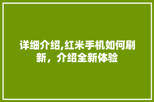 详细介绍,红米手机如何刷新，介绍全新体验 友链在线