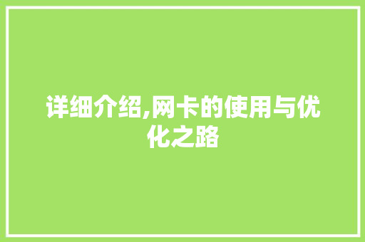 详细介绍,网卡的使用与优化之路