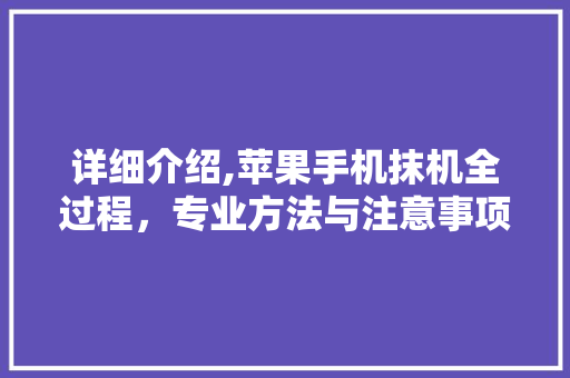 详细介绍,苹果手机抹机全过程，专业方法与注意事项介绍