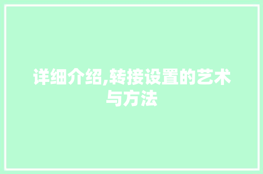 详细介绍,转接设置的艺术与方法