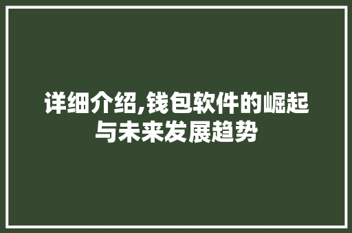 详细介绍,钱包软件的崛起与未来发展趋势