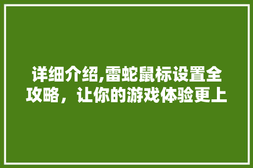 详细介绍,雷蛇鼠标设置全攻略，让你的游戏体验更上一层楼 建站教程