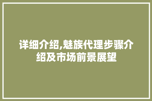 详细介绍,魅族代理步骤介绍及市场前景展望