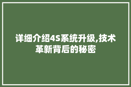 详细介绍4S系统升级,技术革新背后的秘密