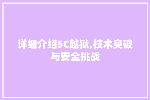 详细介绍5C越狱,技术突破与安全挑战 Web前端