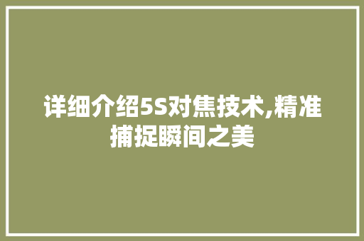 详细介绍5S对焦技术,精准捕捉瞬间之美
