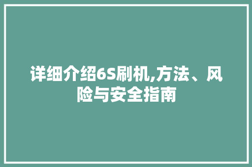 详细介绍6S刷机,方法、风险与安全指南 友链在线