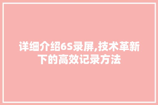 详细介绍6S录屏,技术革新下的高效记录方法 服务器/数据库