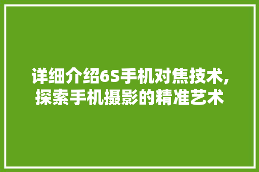 详细介绍6S手机对焦技术,探索手机摄影的精准艺术 服务器/数据库