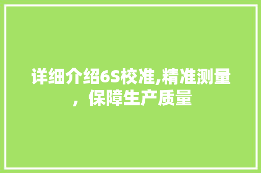 详细介绍6S校准,精准测量，保障生产质量 WordPress教程