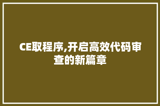 CE取程序,开启高效代码审查的新篇章 CE取程序,开启高效代码审查的新篇章 Web前端