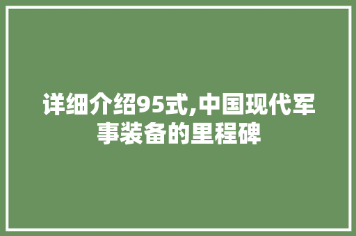 详细介绍95式,中国现代军事装备的里程碑 SEO教程
